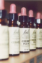 Stock bottles („konzentrierte“ Bachblüten)
